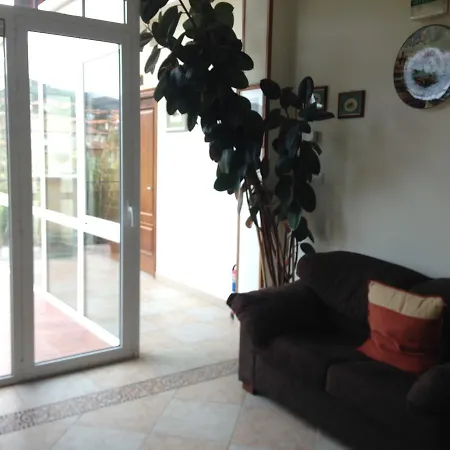 Joshe Mari * באקיו